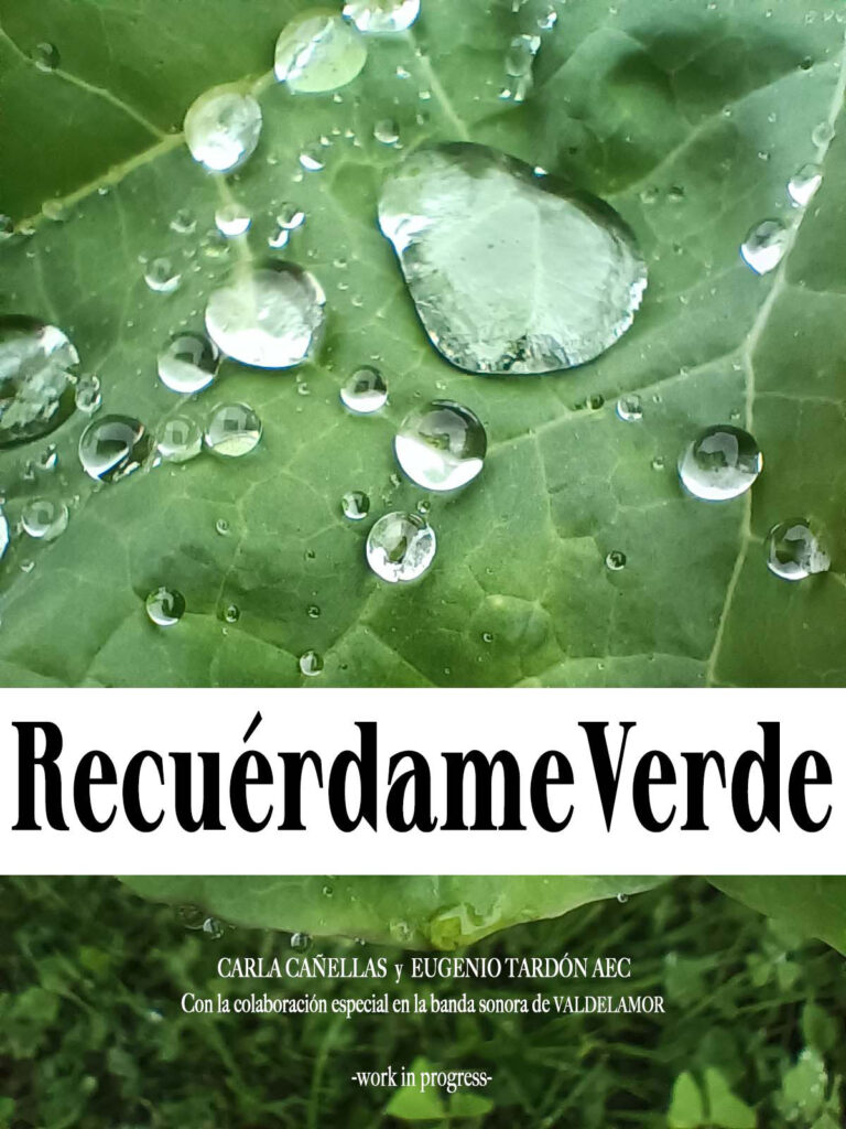 RECUERDAMEVERDE copia